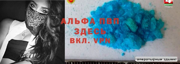 гашик Вязьма