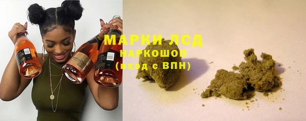 дмт Вяземский