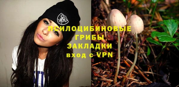 гашик Вязьма