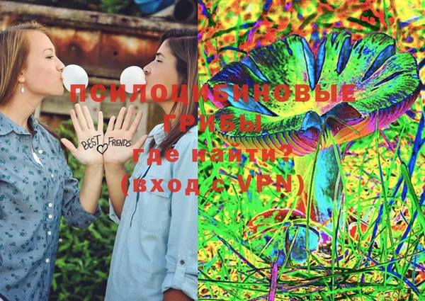 гашик Вязьма